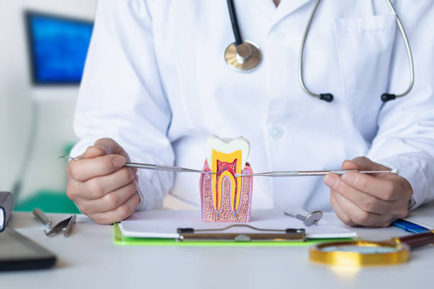 Best Chipped Tooth Repair Near Me  in Blaine, WA
